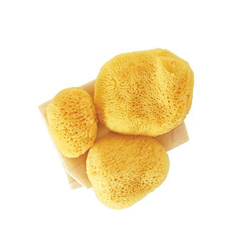 Premium Ultra Soft Sea Pearls Reusable Sea Sponges