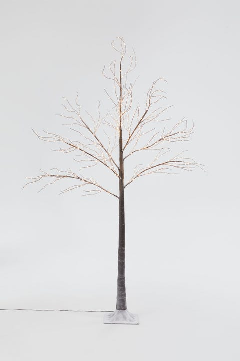 12 Beautiful Twig Trees To Now 12 Beautiful Twig Trees To
