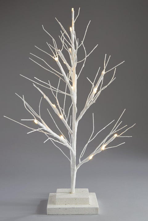 12 Beautiful Twig Trees To Now 12 Beautiful Twig Trees To