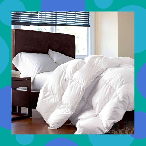 6 Best Down Comforters To Buy In 2019 Down Comforter Reviews