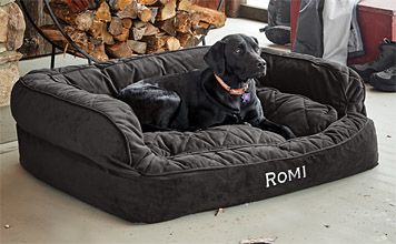 Orvis dog shop beds uk