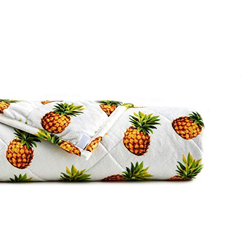 YnM Minky Weighted Blanket
