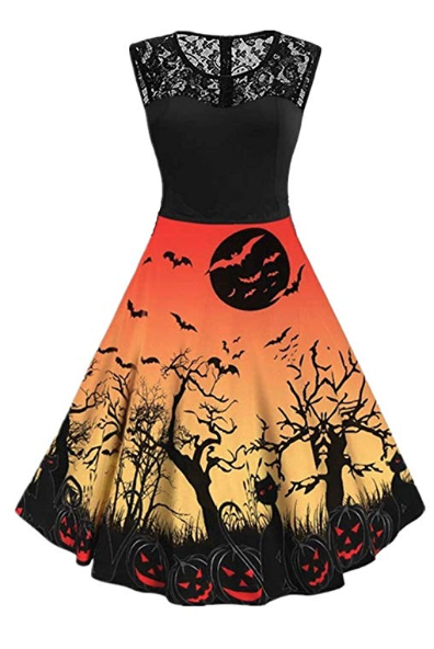 Bat Lace Swing Dress