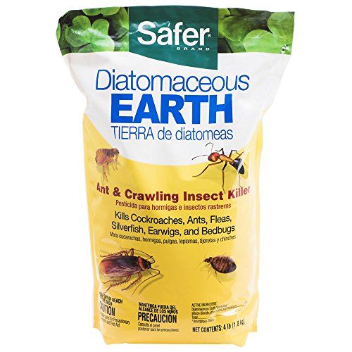 Diatomaceous Earth Insect Killer