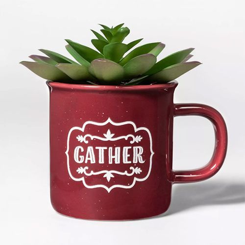 Gather Mug Succulent