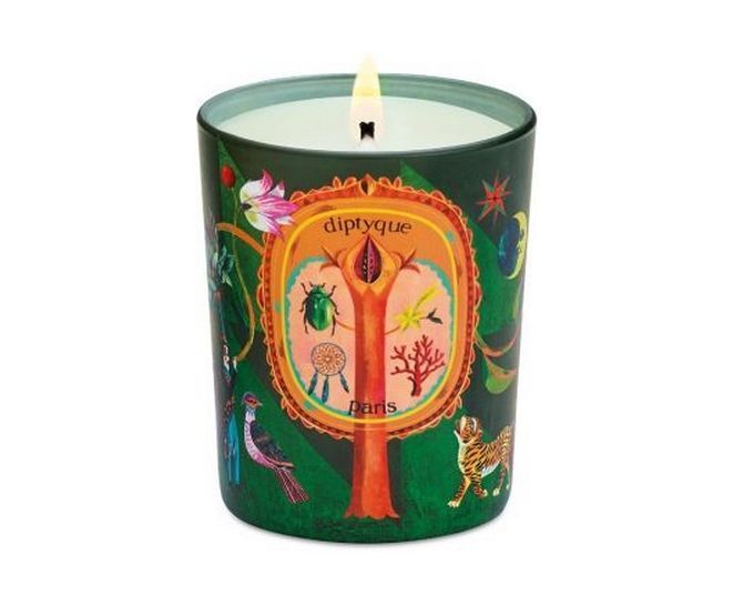 70 g Diptyque Holiday Candle Frosted Forest Fir Tree Pine Small Candle 2.4 oz 