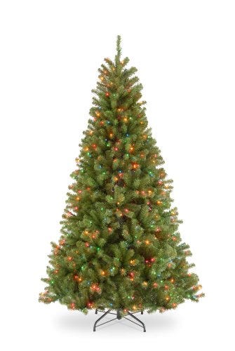 7.5 Foot North Valley Spruce Tree 