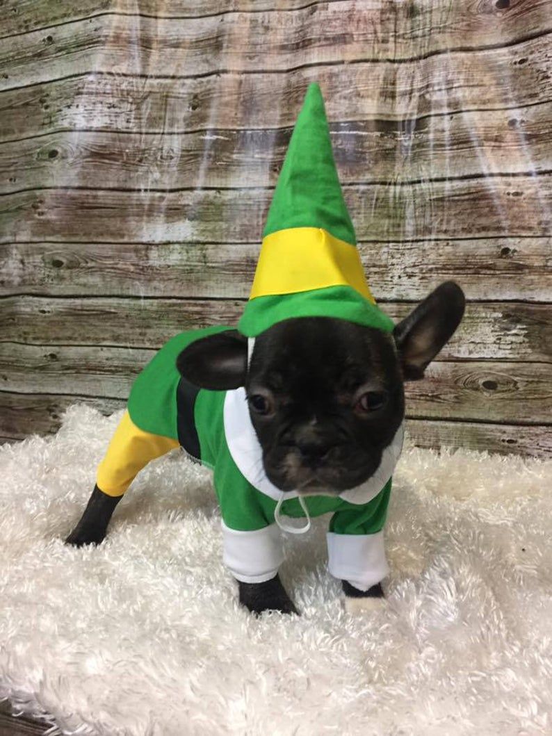 Buddy the shop elf dog costume