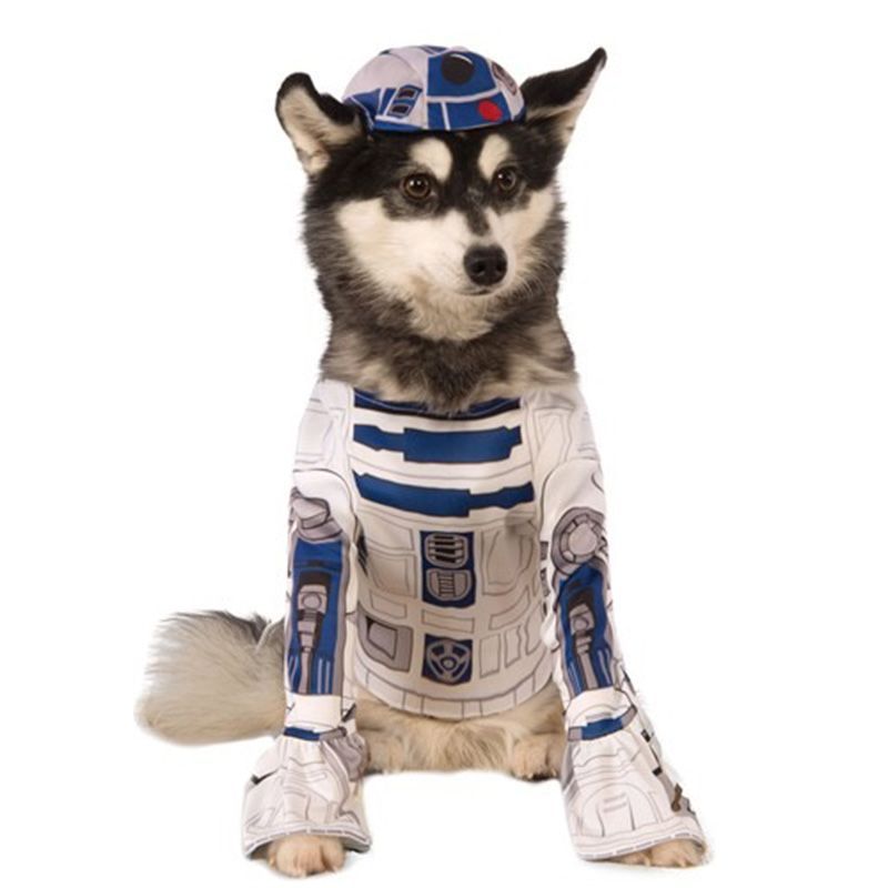 69 Dog Halloween Costumes Cute Ideas For Pet Costumes