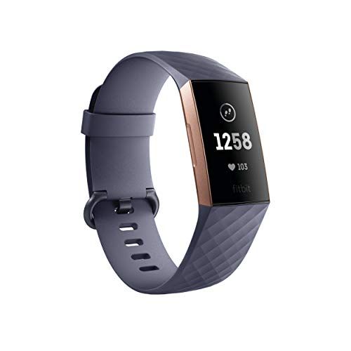 most basic fitbit
