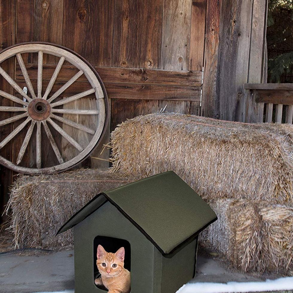 Heated Outdoor Cat House