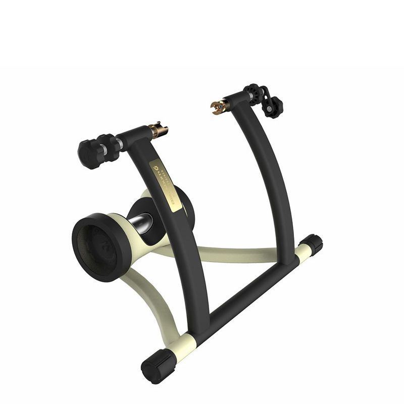 static bicycle trainer