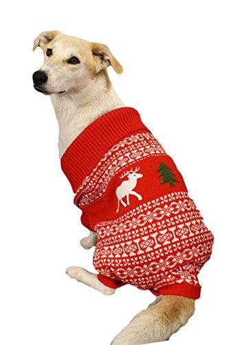 These Christmas Sweaters Let You and Your Dog Match - Matching ...