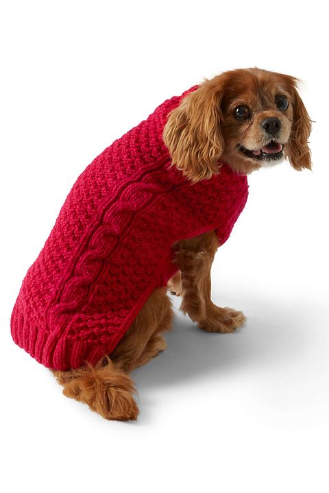 These Christmas Sweaters Let You And Your Dog Match Matching