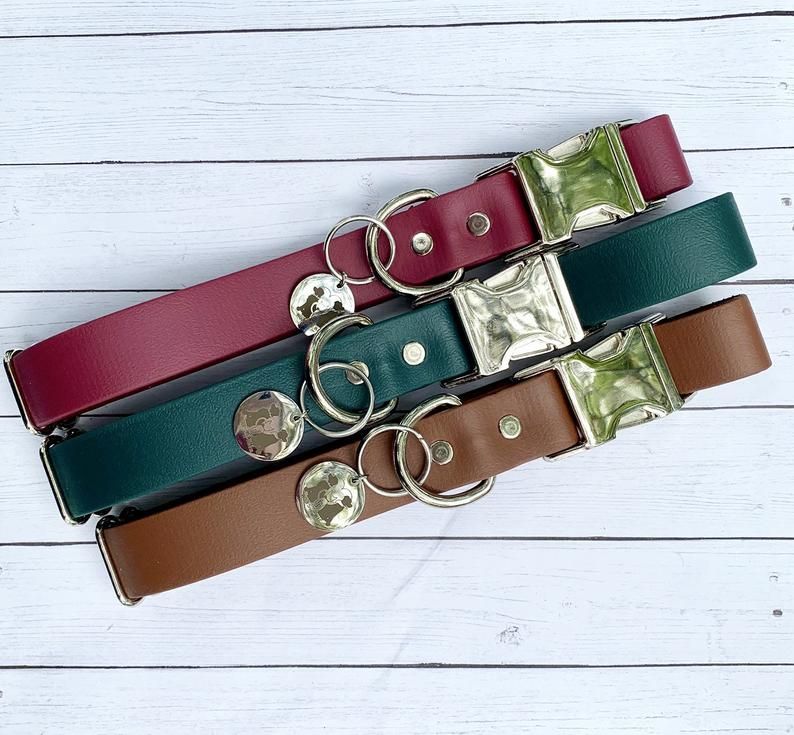 belt buckle style dog collars