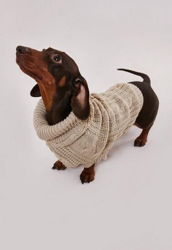 Stone Cable Knit Dog Sweater, £12