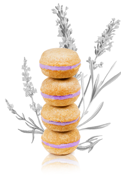 Lavender Dog Macarons