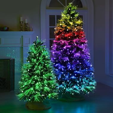 rainbow christmas tree with lights