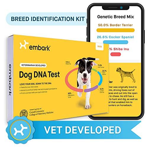 Embark Dog DNA Test 