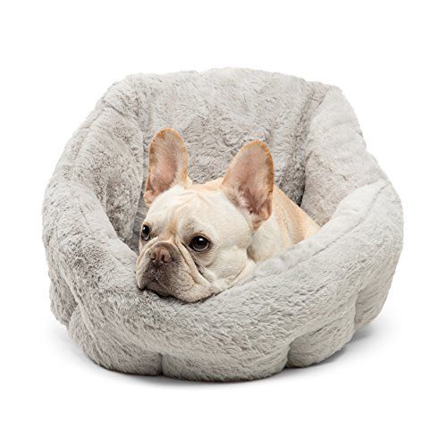 harmony memory foam couch dog bed