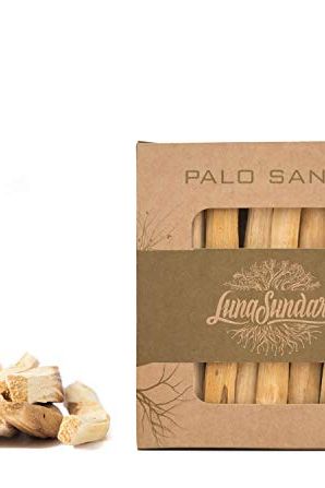All About Palo Santo - The Benefits and How to Use it - 40 Aprons
