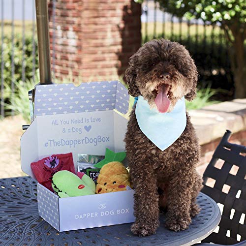 The Dapper Dog Box 