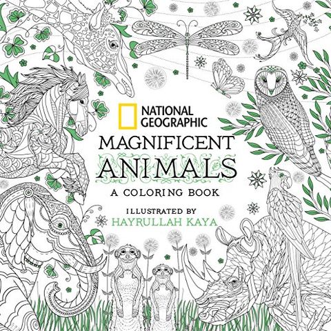 13 Best Adult Coloring Books 2020 Cool Adult Coloring Books To Buy