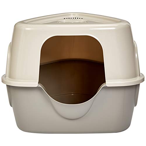 10 Best Cat Litter Boxes for Your Kitty