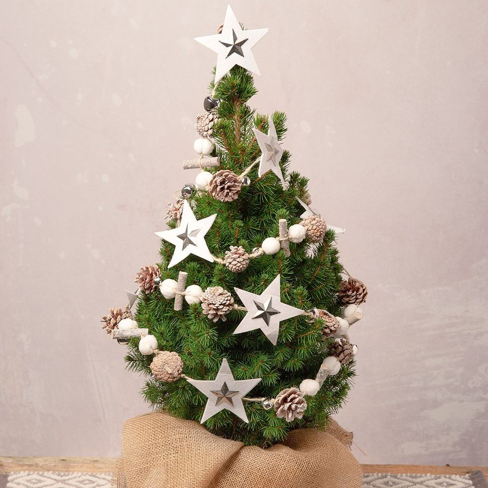 Bloom & Wild's Chic Scandi Tree Is Perfect Christmas Centrepiece