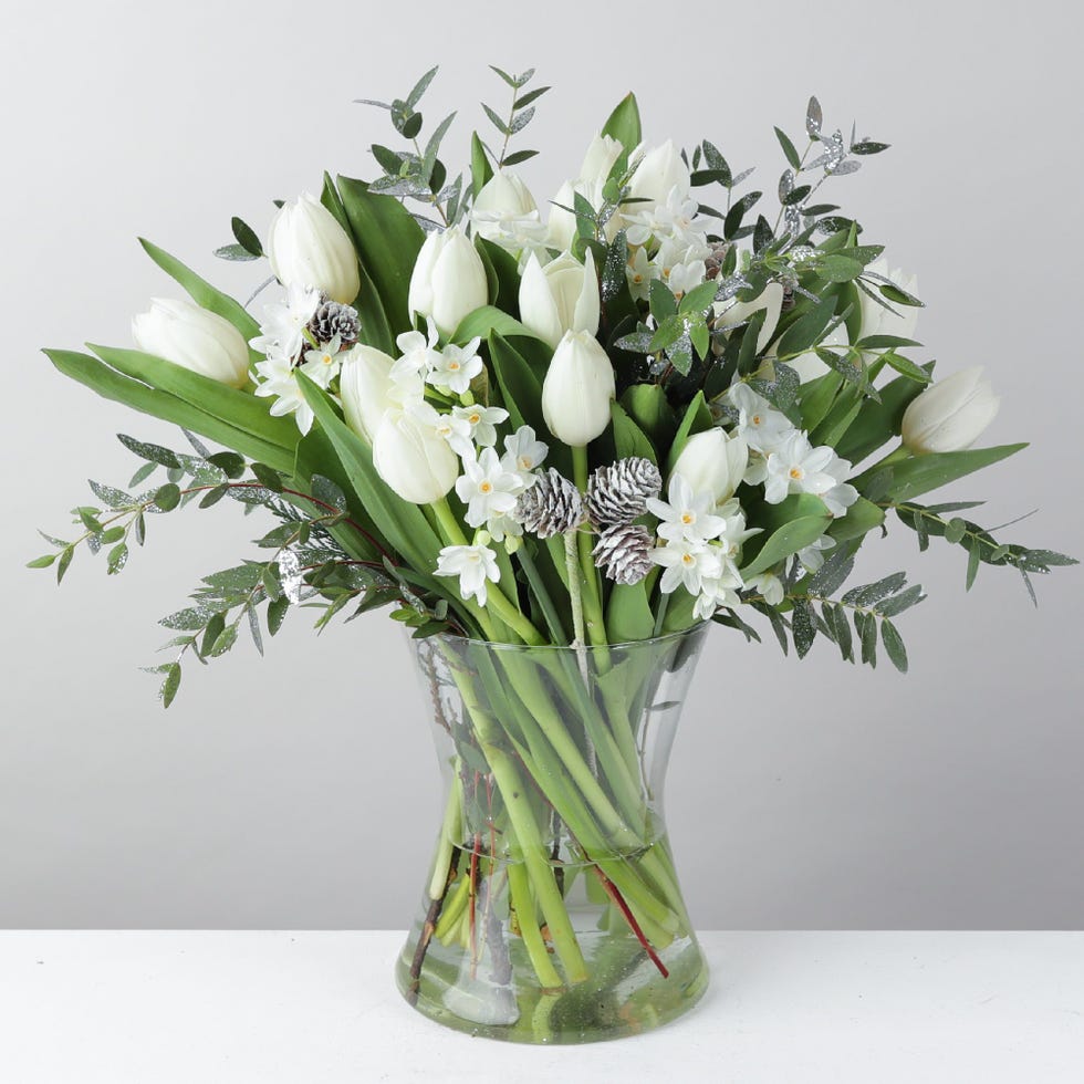 Winter Tulips
