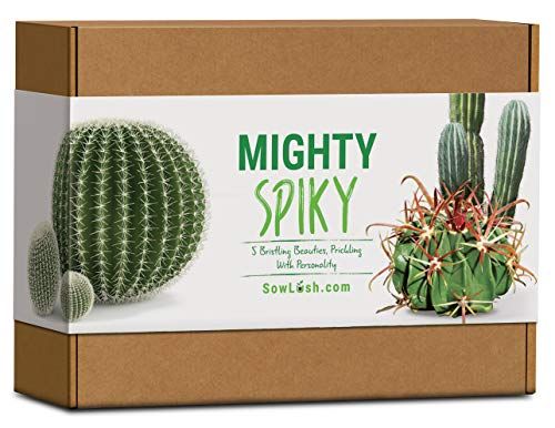 Sow Lush Mighty Spiky Cactus, Kit Regalo con Semi, Tutto l’Essenziale per Coltivare 5 bellissime varietà irsute, Piene di personalità