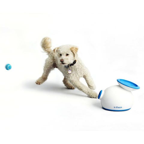 20 Best Dog Toys To Buy In 2020 Chew Toys For Dogs