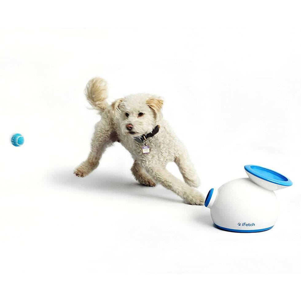 20 Best Interactive Dog Toys 2023 - Best Toys to Keep Dogs Busy