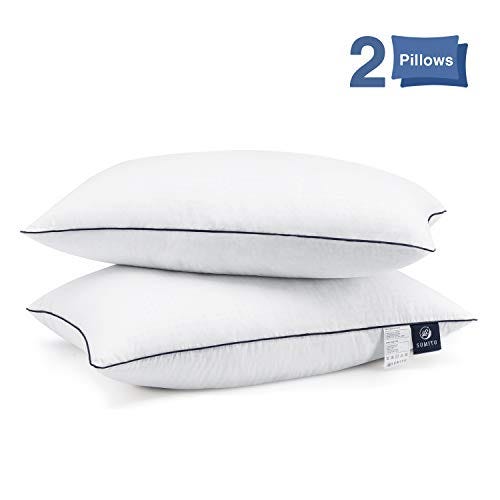 Large vs Small Lumbar Pillows: Why Size is Significant– Cushion Lab