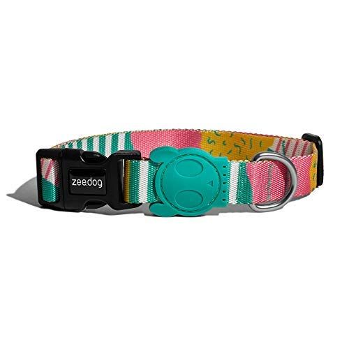 9 Best Dog Collars for 2020 - Top-Rated 
