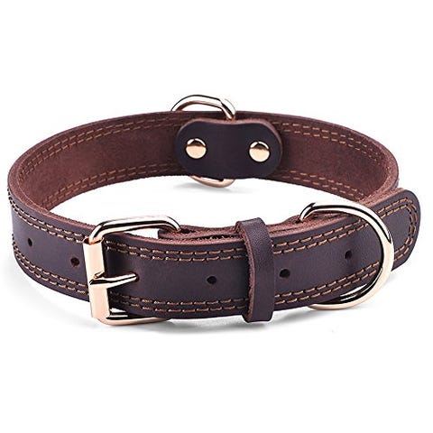 9 Best Dog Collars for 2020 - Top-Rated Dog Collars