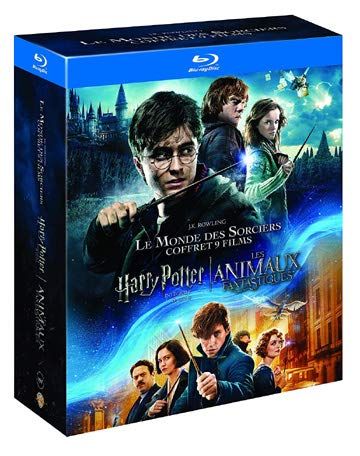 Harry Potter 8 Film Collection & Fantastic Beasts 9-Disc Box Set
