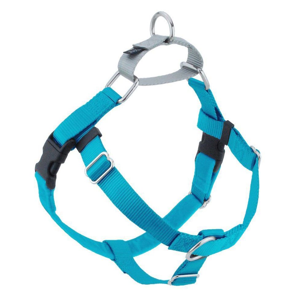 2 Hounds Design Freedom No-Pull Harness