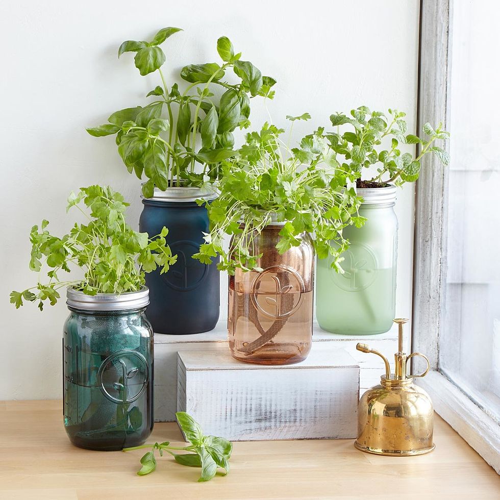 15 Housewarming Gift Ideas They Will Love - Venture Into The Woods