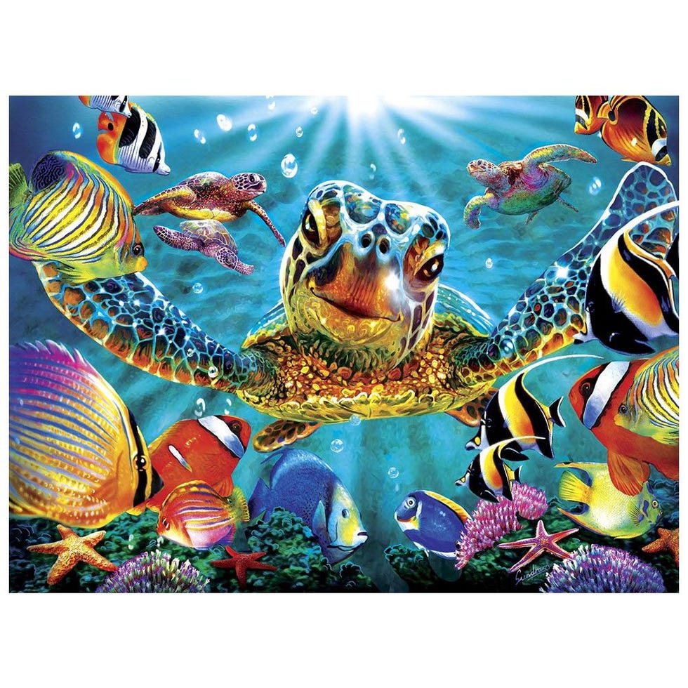 33 Best Jigsaw Puzzles for Adults In Lockdown