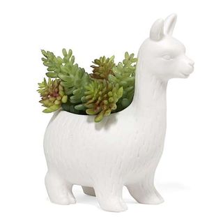 Lloyd, the llama ceramic planter