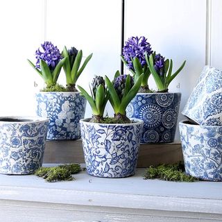 Dutch flower pattern plant pot