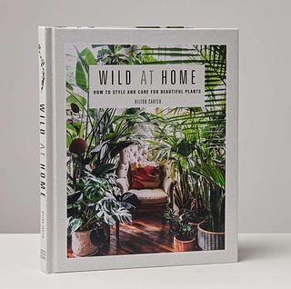 Wild Home: Style and Care Book for Beautiful Plants