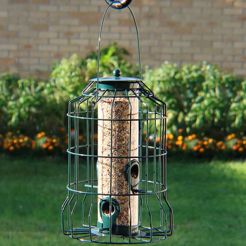 The Best Squirrel-Proof Bird Feeders You Can Buy Online