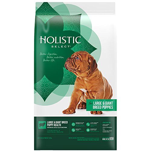 Holistic Select Natural Dry Dog Food, Large & Giant Breed Puppy