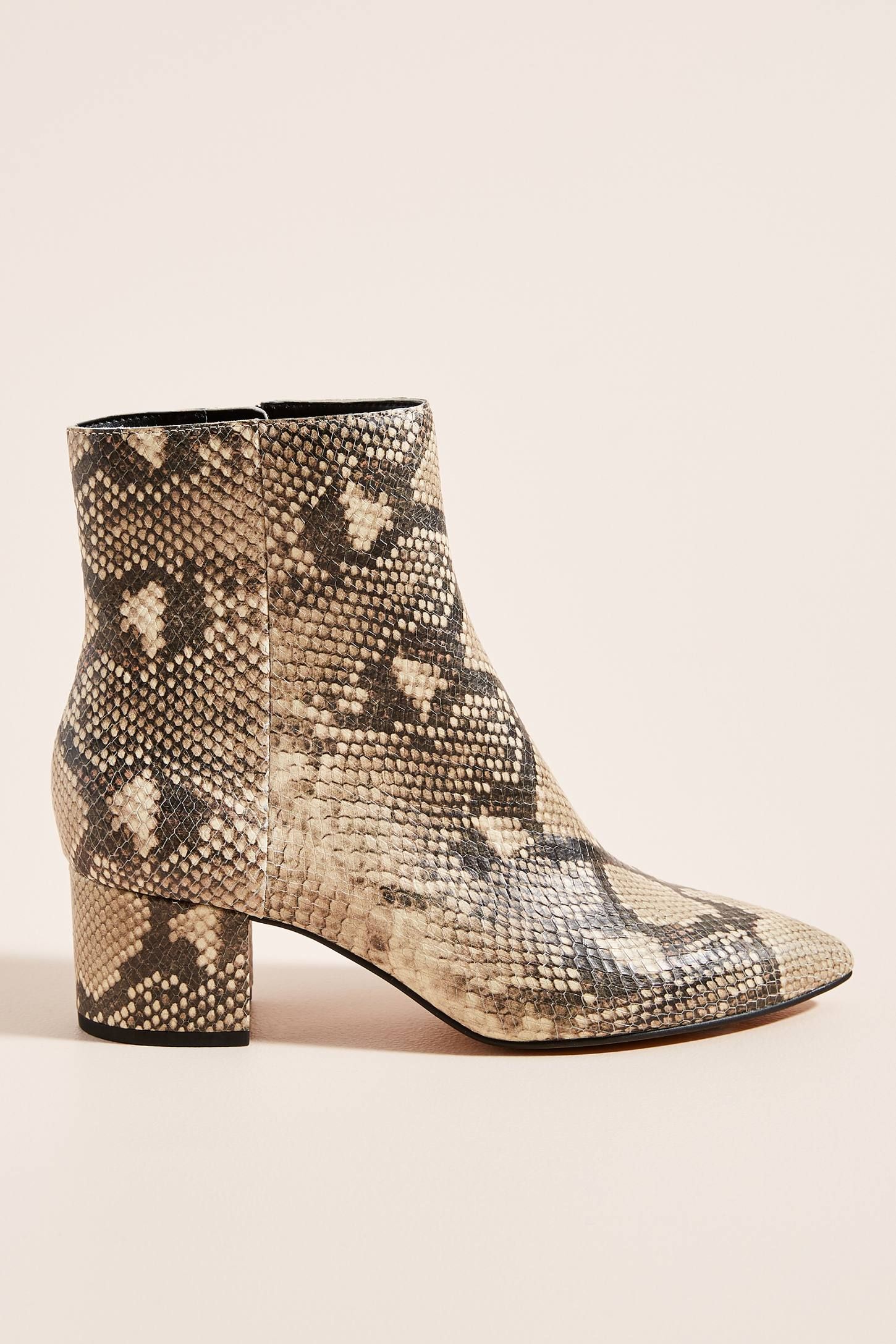 Dolce vita sale bel booties snake