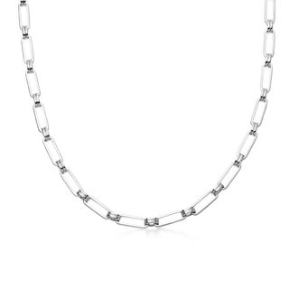 Silver Aegis Chain Necklace