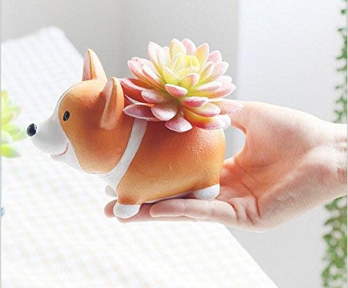 Corgi Succulent Planter