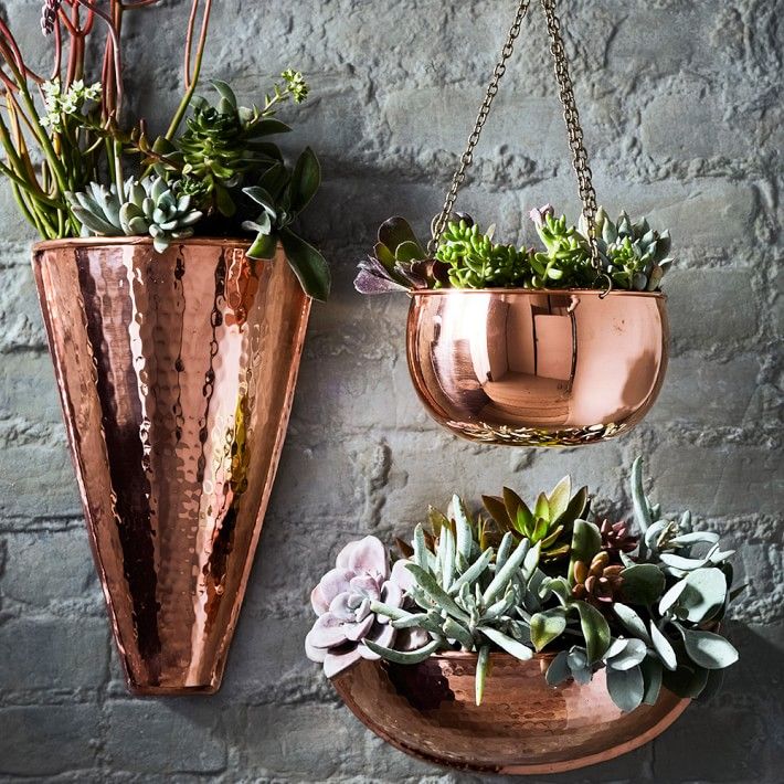 Wall deals plant holders