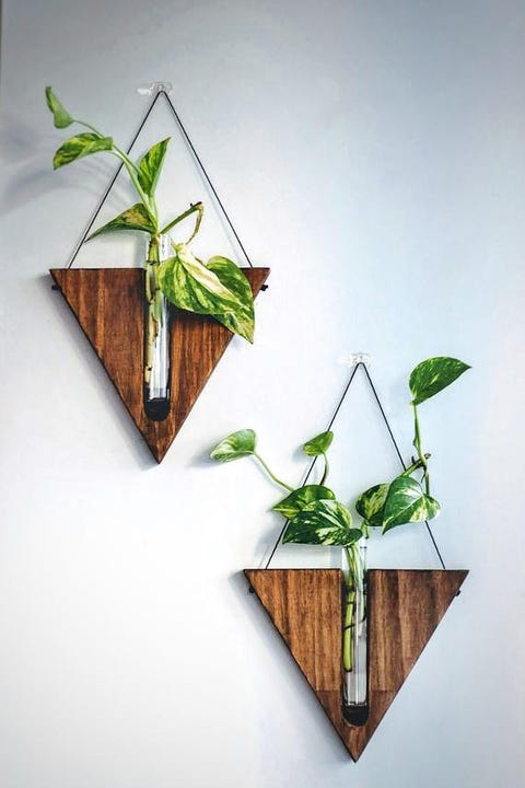 20 Best Wall Planters Gorgeous Indoor And Outdoor Plant Holders - Indoor Wall Mounted Plant Holders 20 Best Wall Planters Gorgeous Indoor And Outdoor Plant Holders - Indoor Wall Mounted Plant Holders